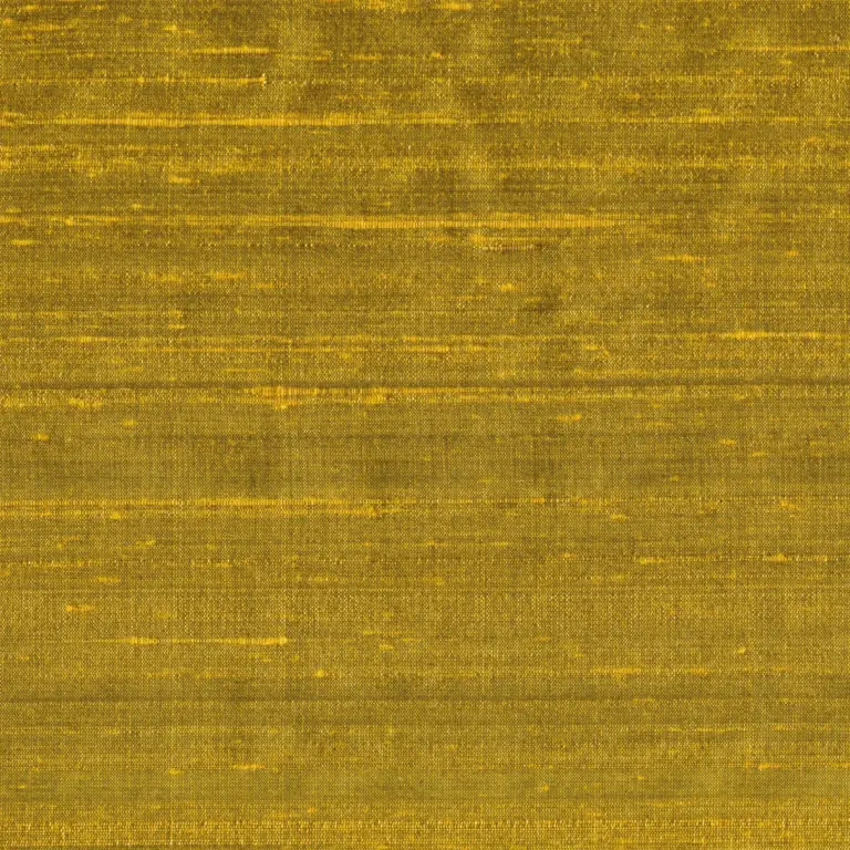 Turmeric 056