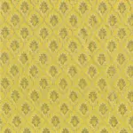 Gold 001 | Scarlatti