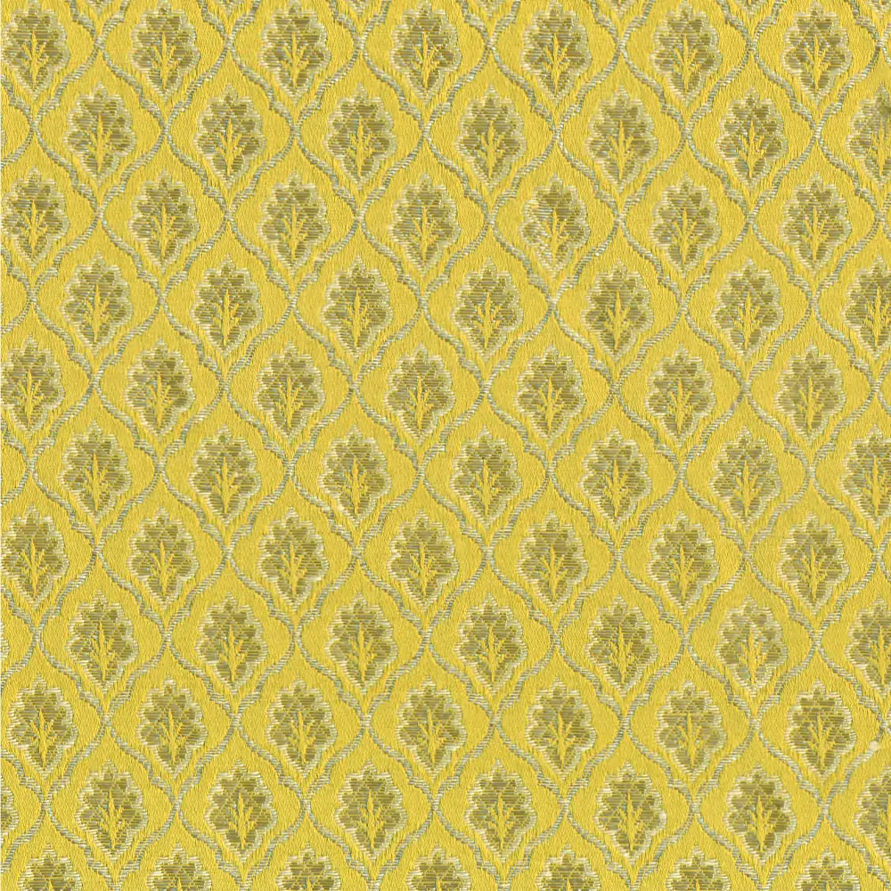 Gold 001 | Scarlatti