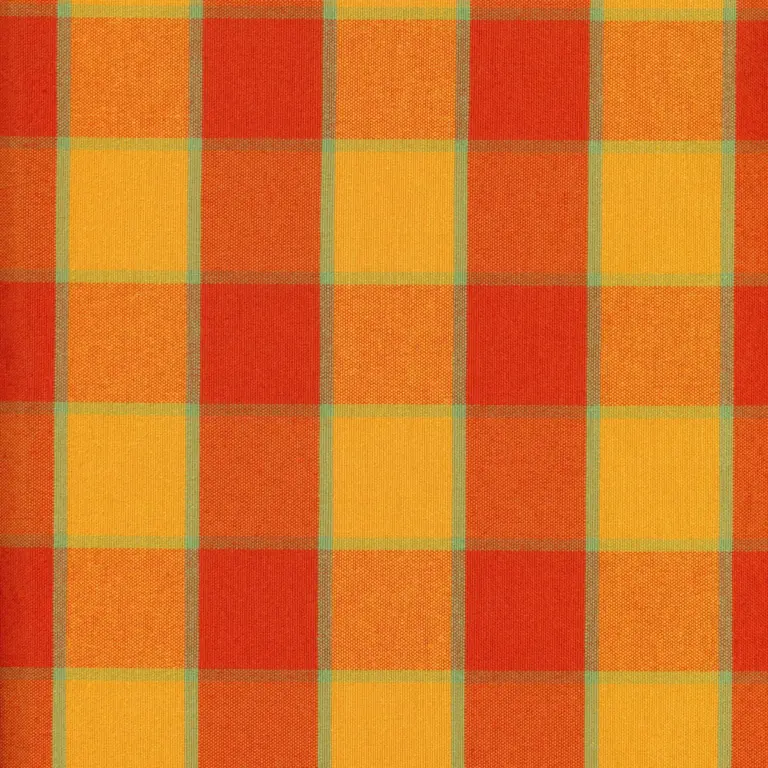 Apricot 1