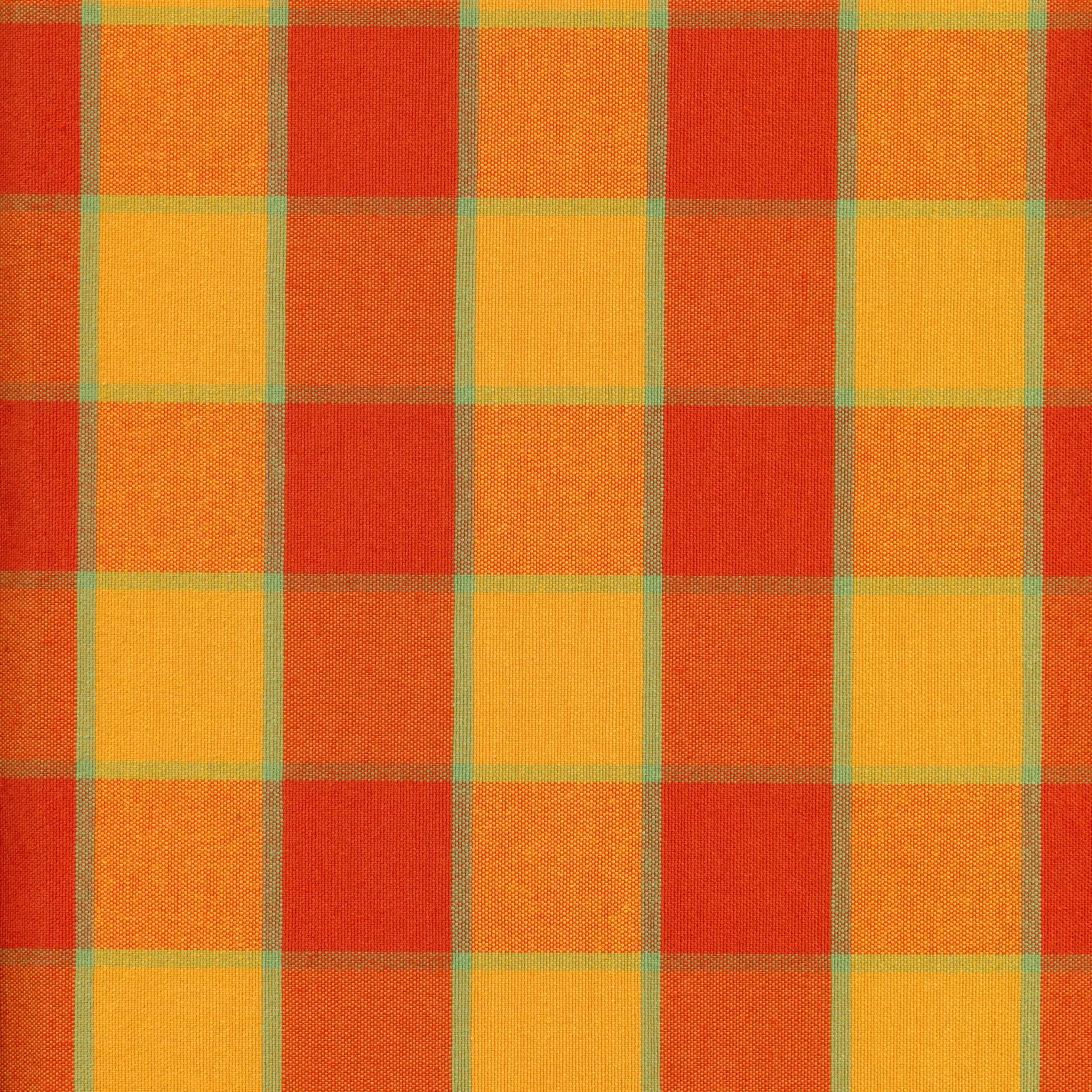 Apricot 1 | Sunflower