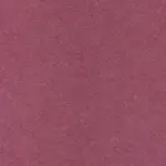 Crocus 601 | Walt