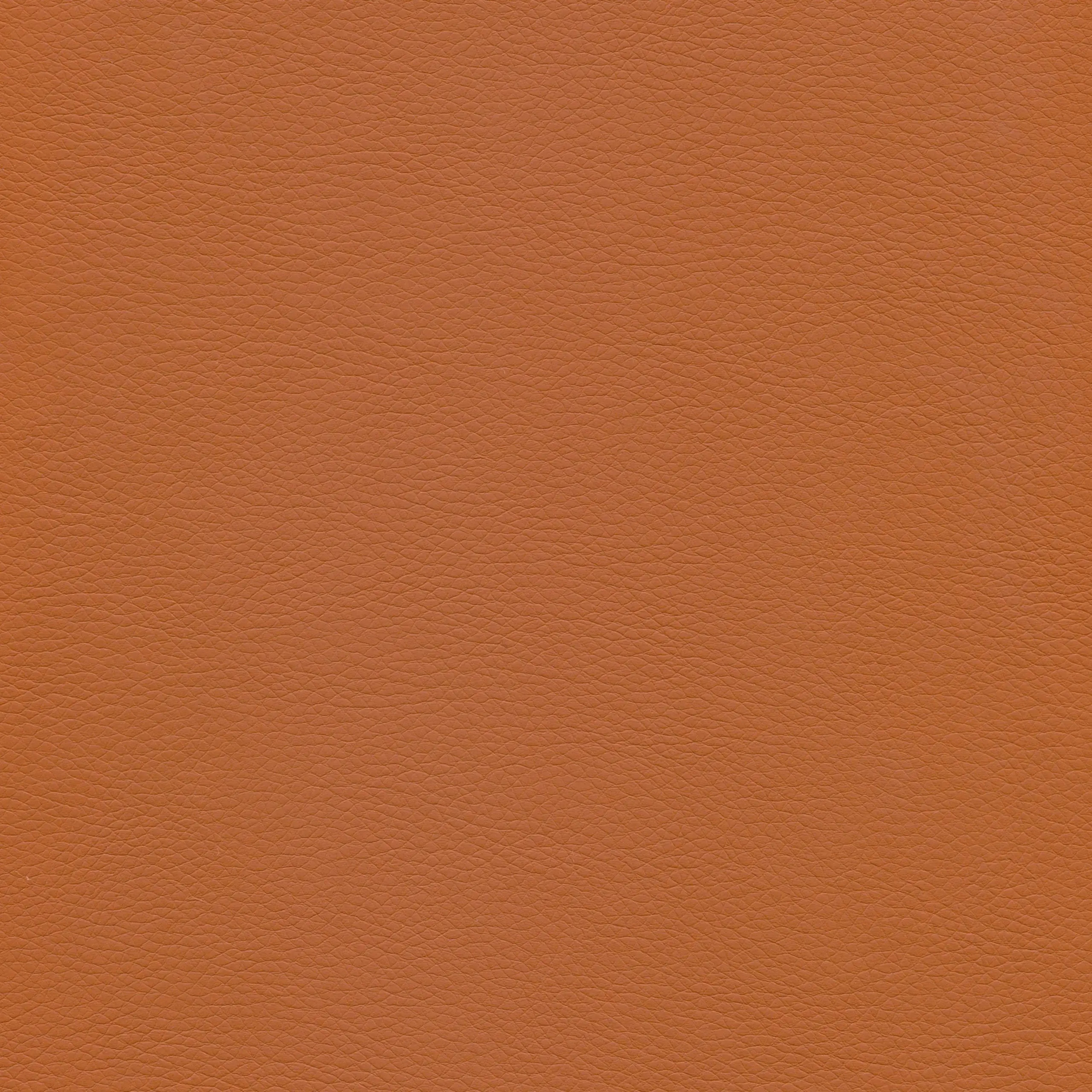 Sienna | Merita