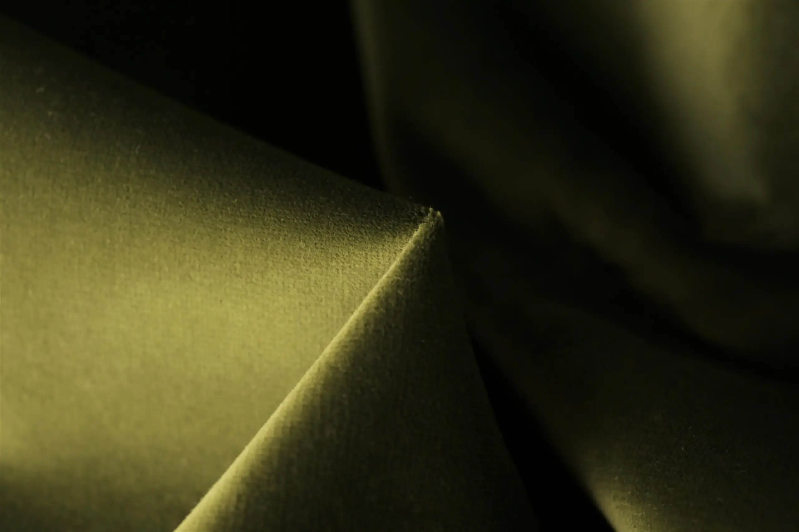 Cherry 04 | Renard