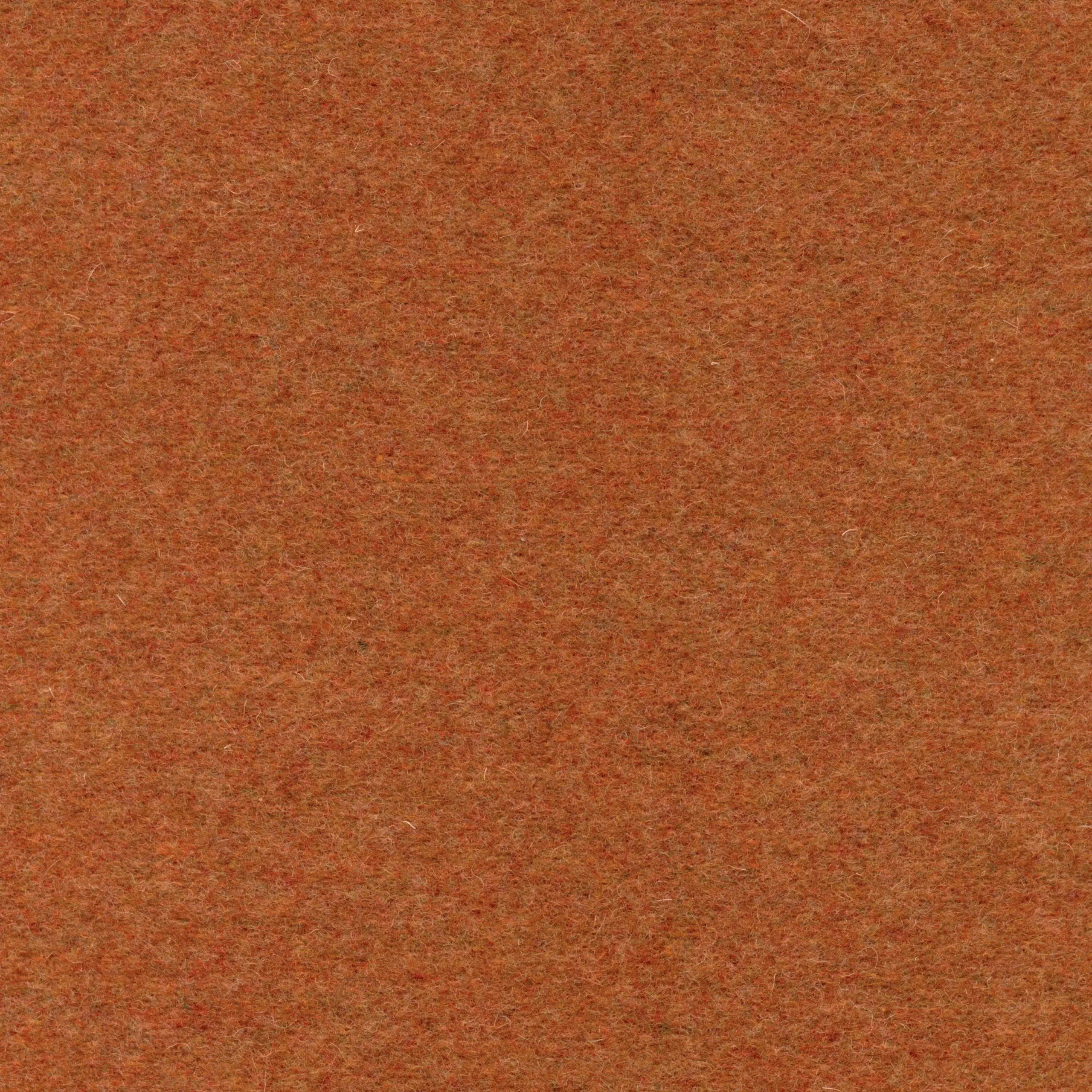 Terracotta 300 | Norma