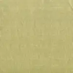 Celery 1534 | Yamir