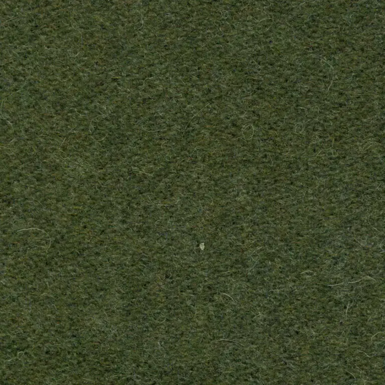 Lichen 492