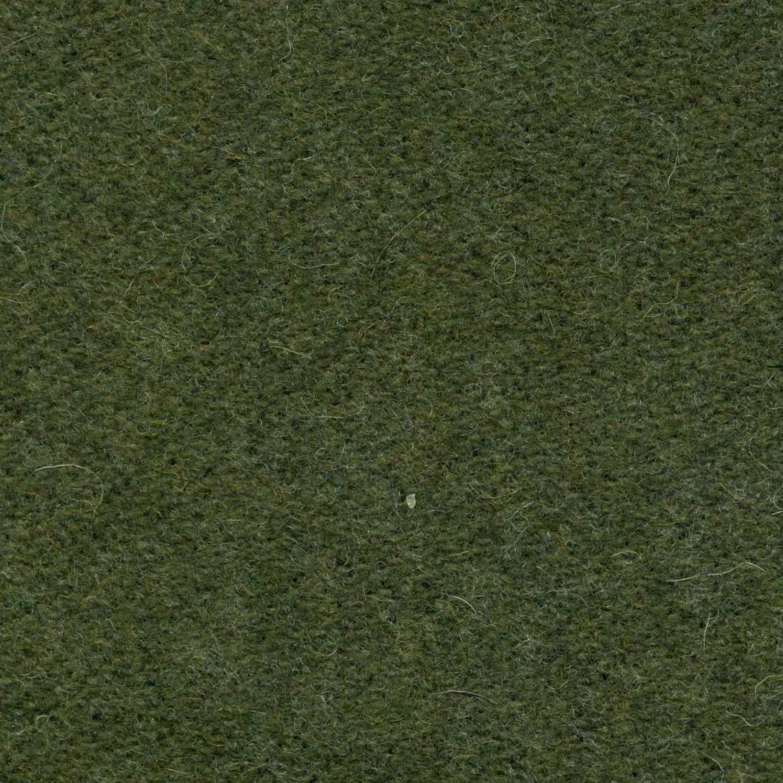 Lichen 492 | Savoy FR