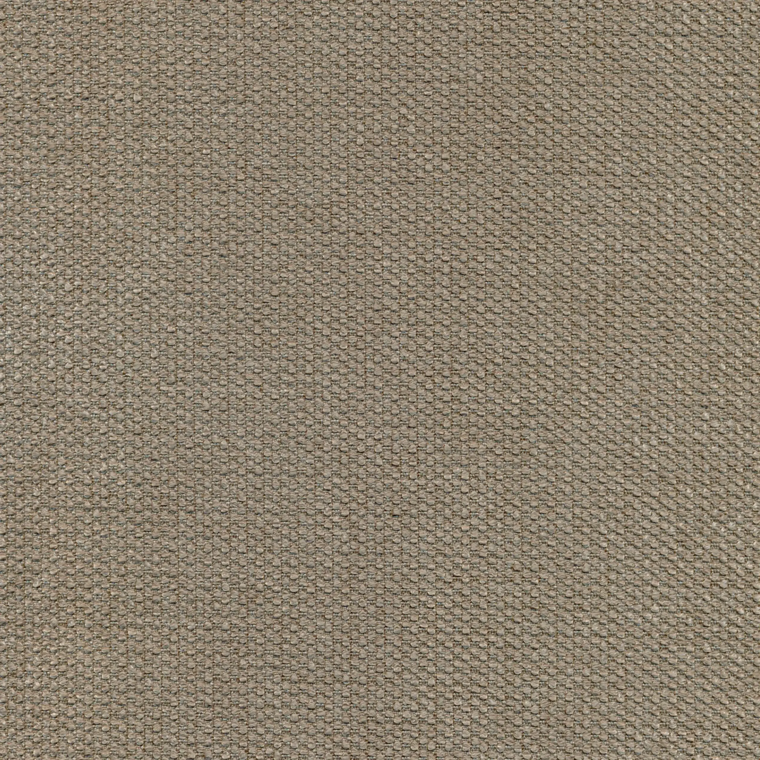 Dove 05 | Onyx