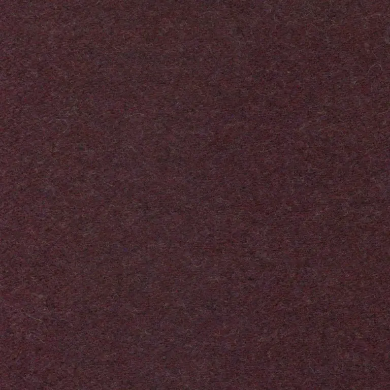 Aubergine 36