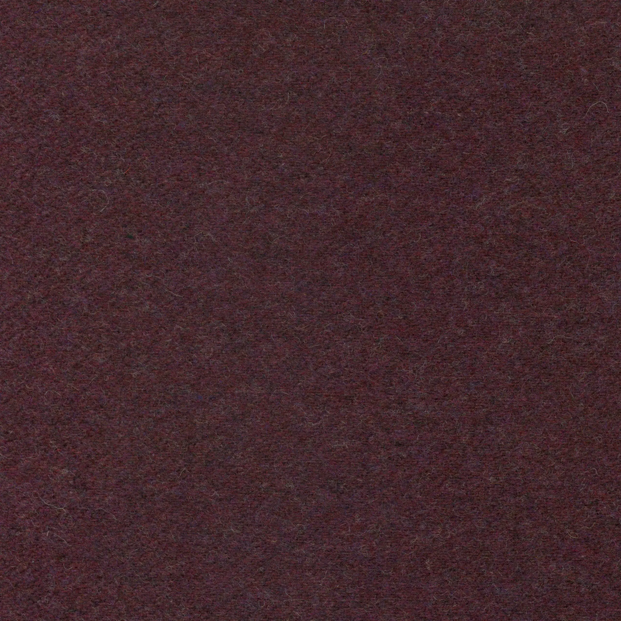 Aubergine 36 | Wool