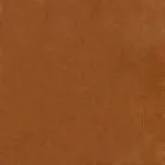 Bronze 8 | Palmer