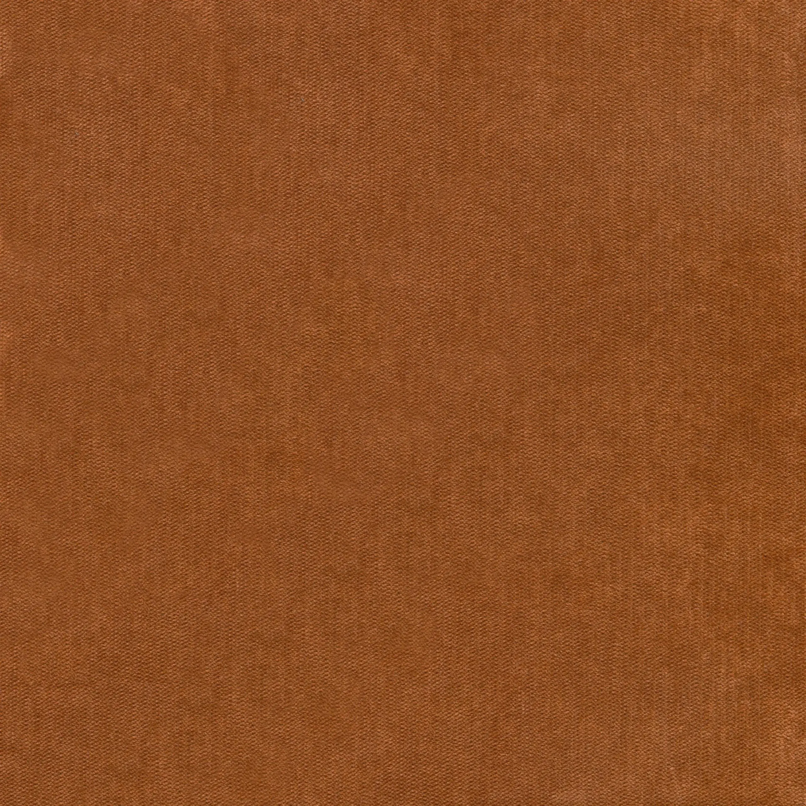Bronze 8 | Palmer