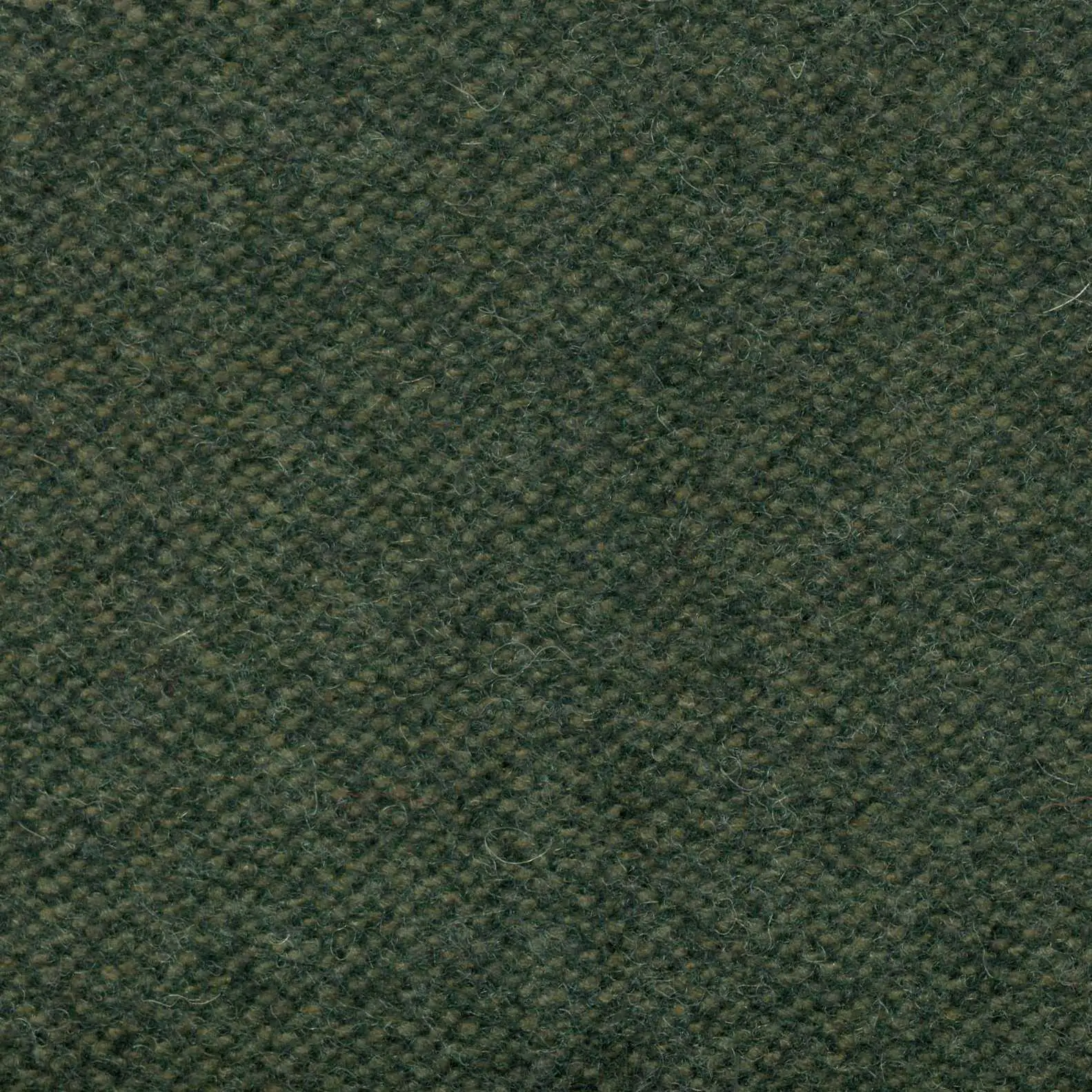 Petrol 442 | Savoy FR