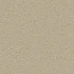 Oyster Gray 24 | Bouclé