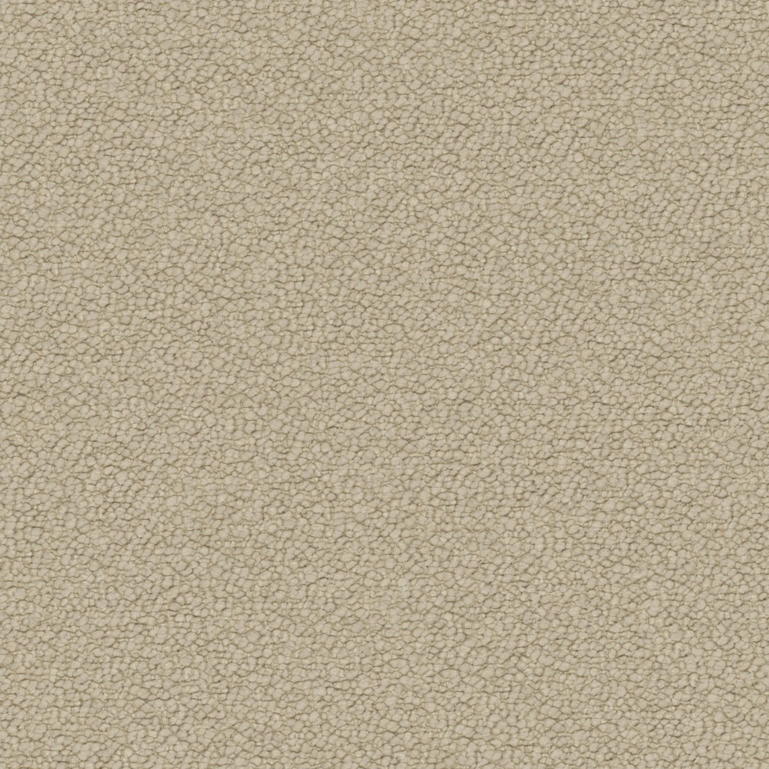Oyster Gray 24 | Neve