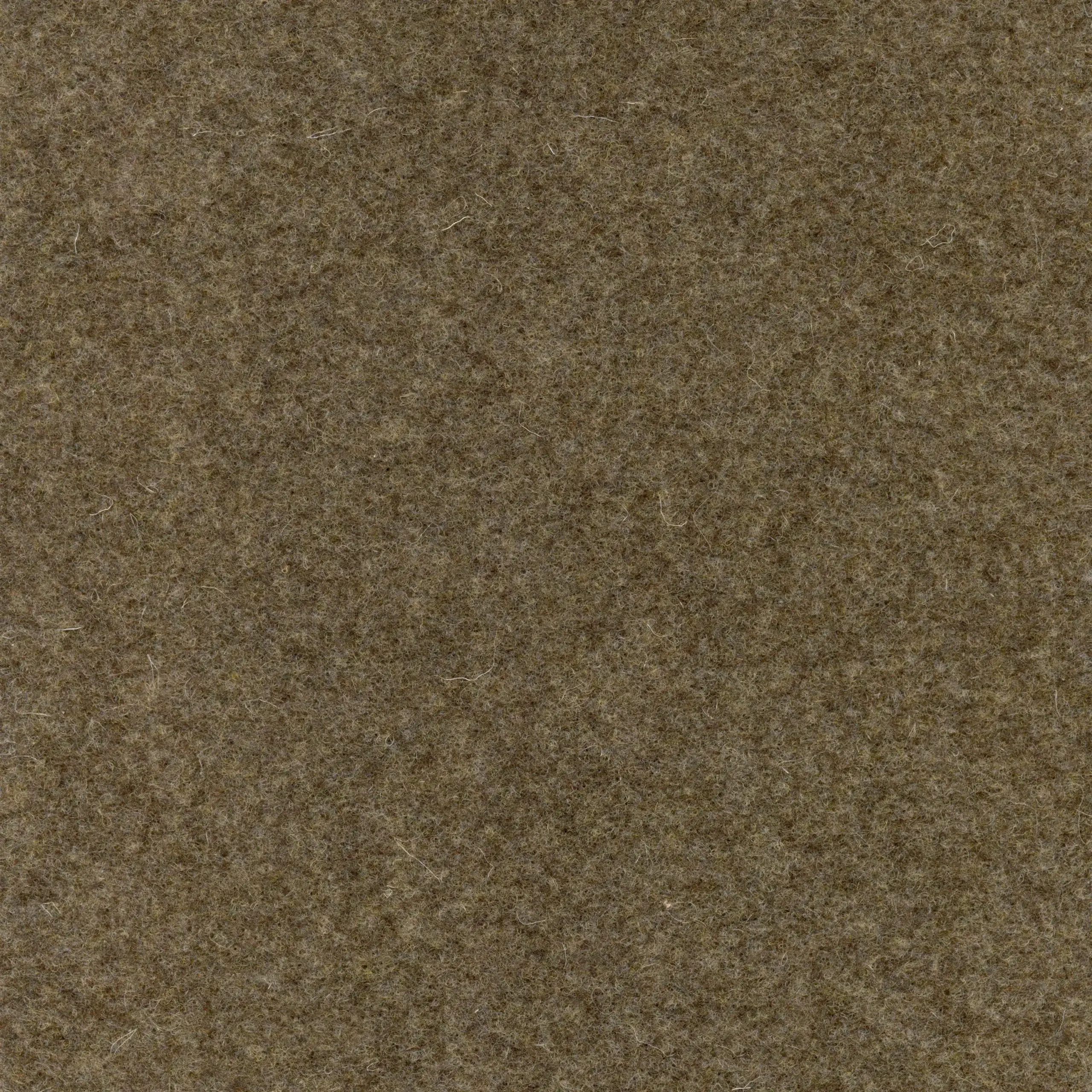 Clay 320 | Walt