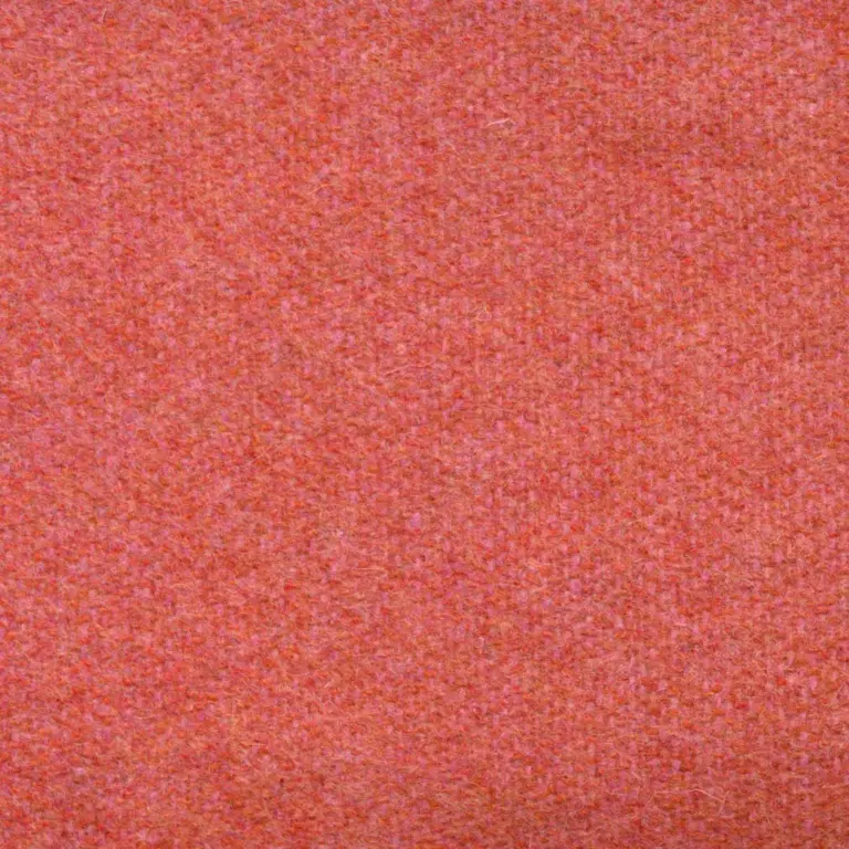 Confeetti 445