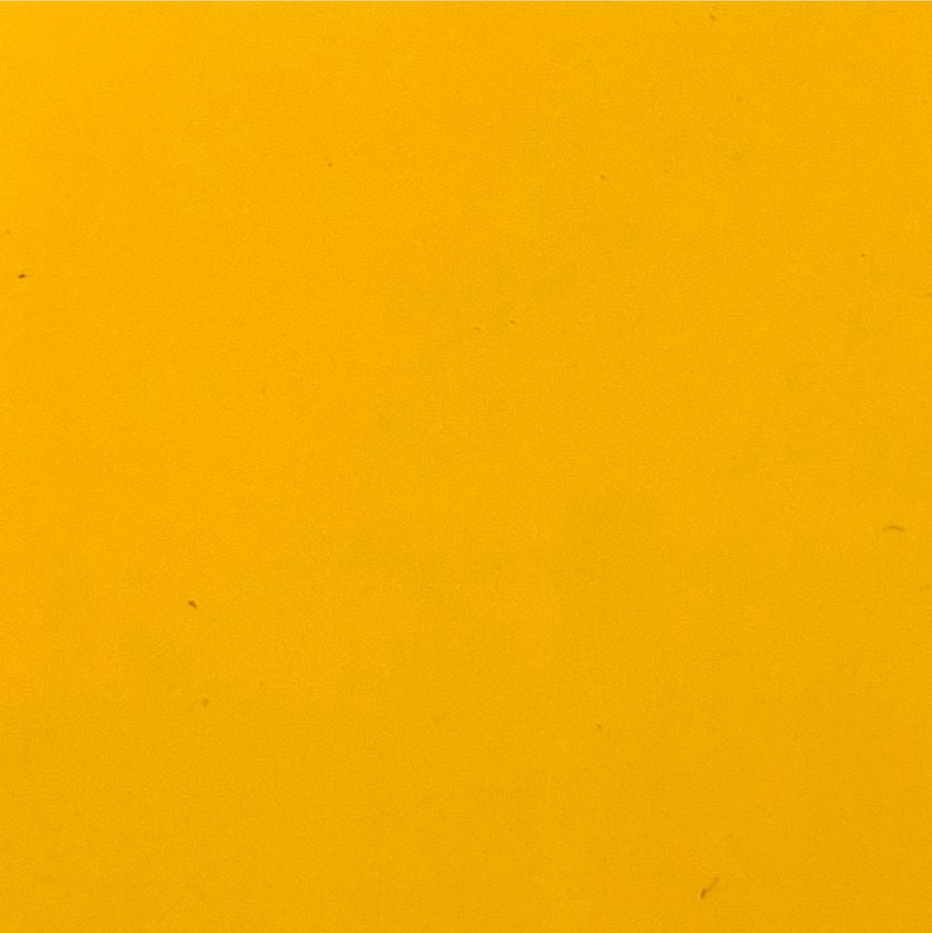 Leather - Sun Yellow (204) | HORECA