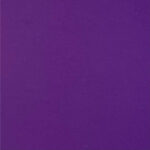 Leather - Violet (203) | HORECA