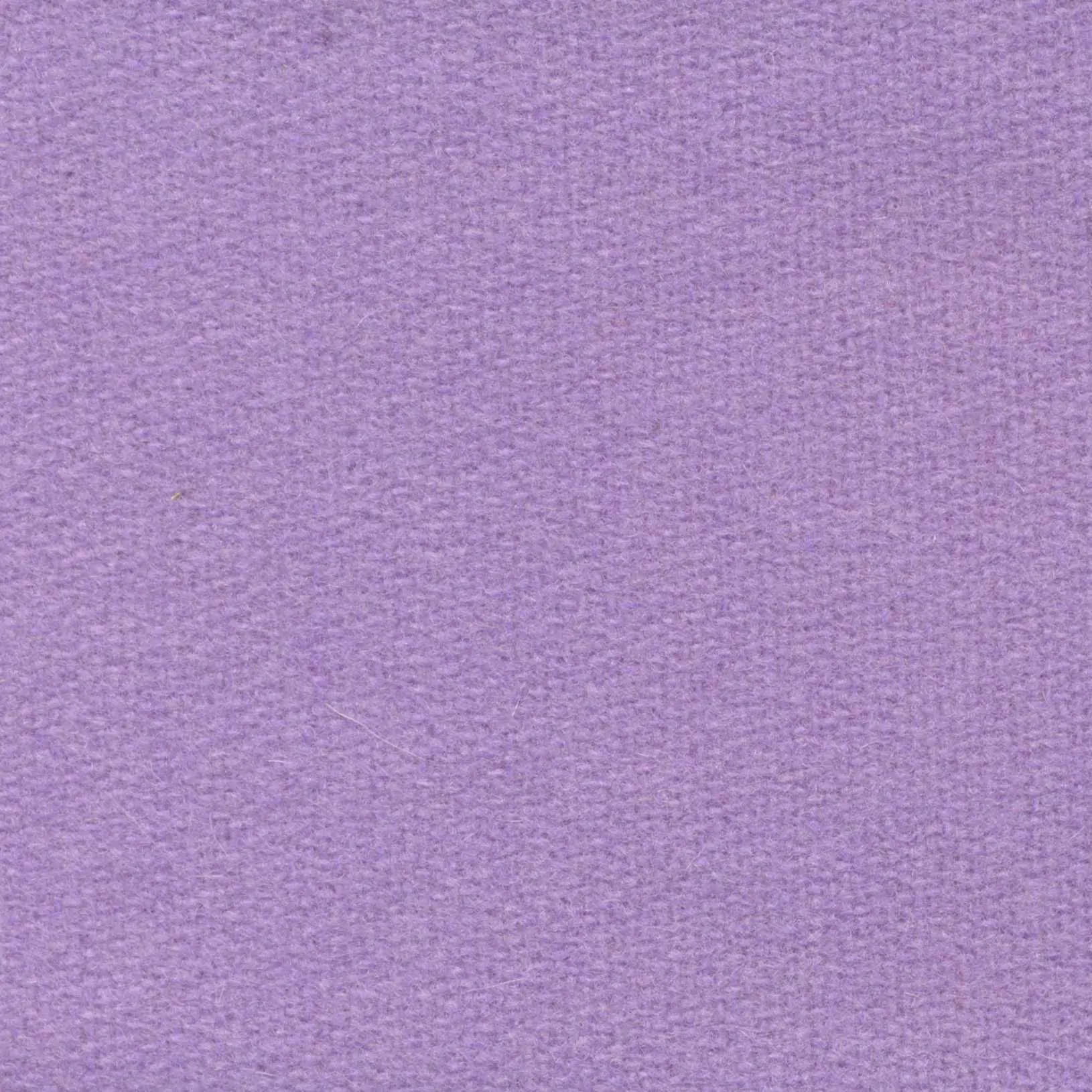 Hyacinth H739 | Savoy FR
