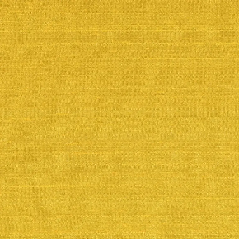 Sunflower 057