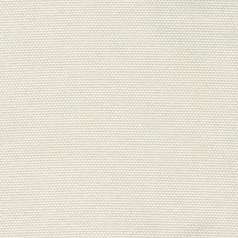 Snow 900