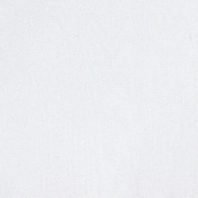 Snow 09
