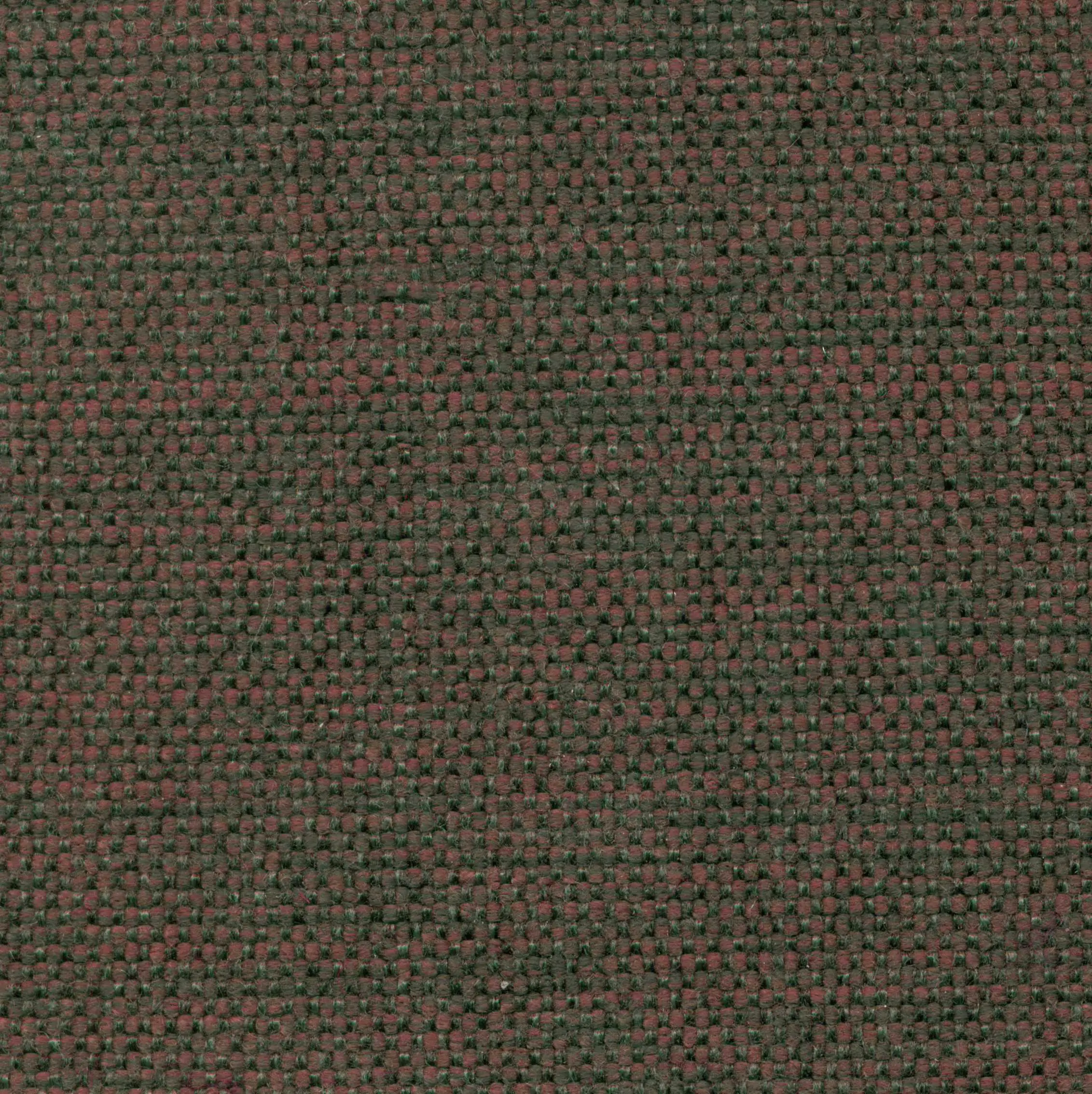 834213 | Mango