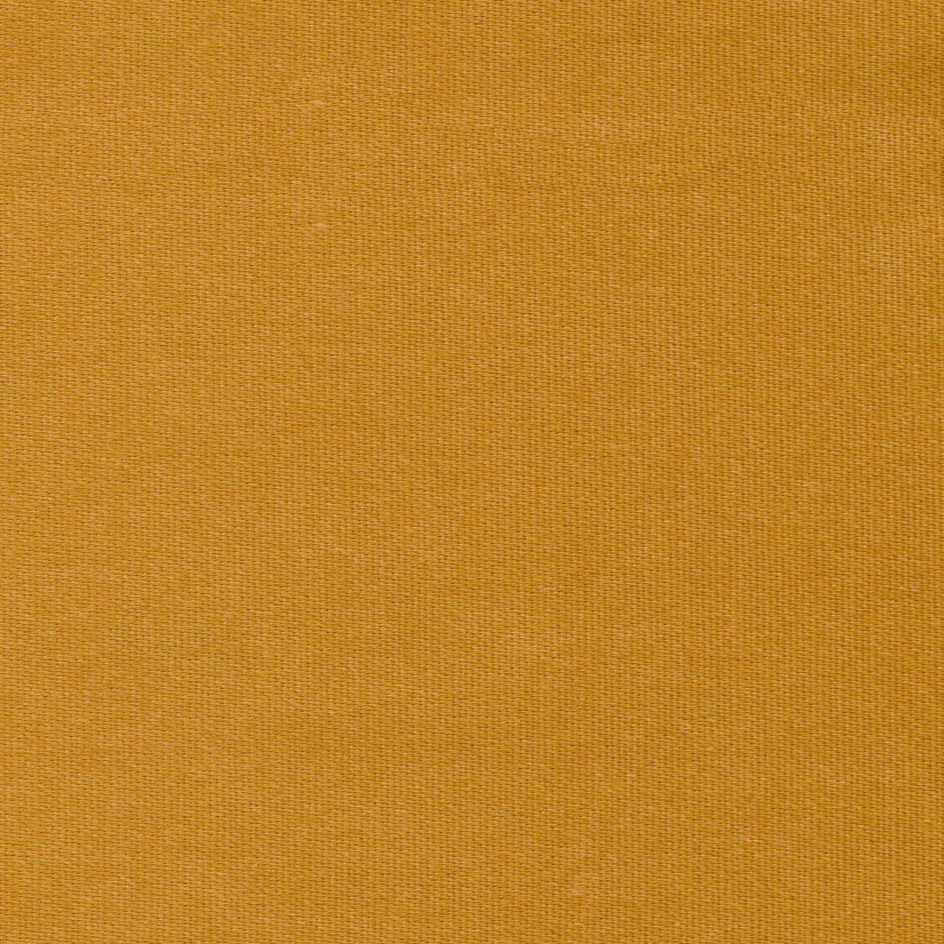 Cadmium 41 | Melba