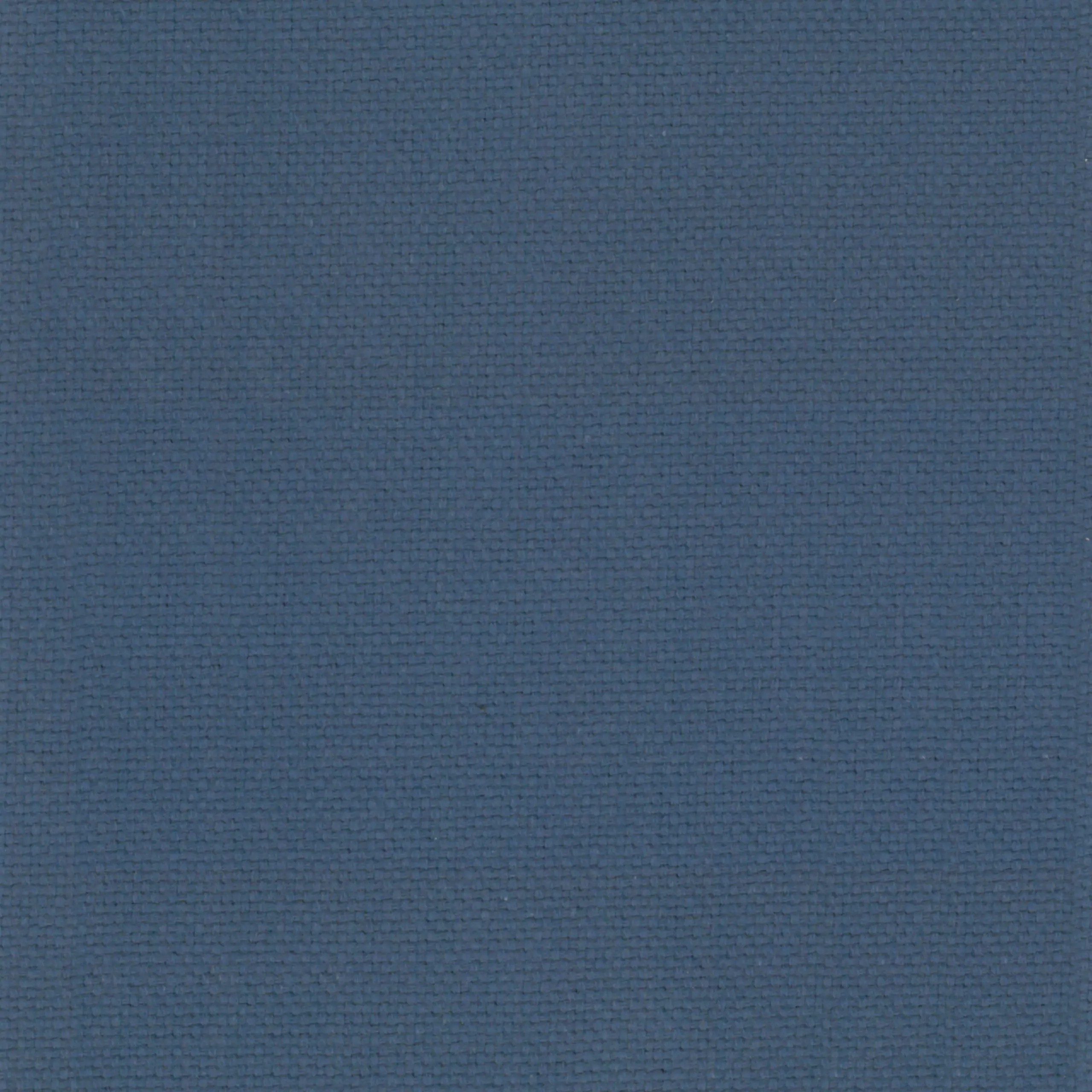 Hyacinth 16 | Ringo