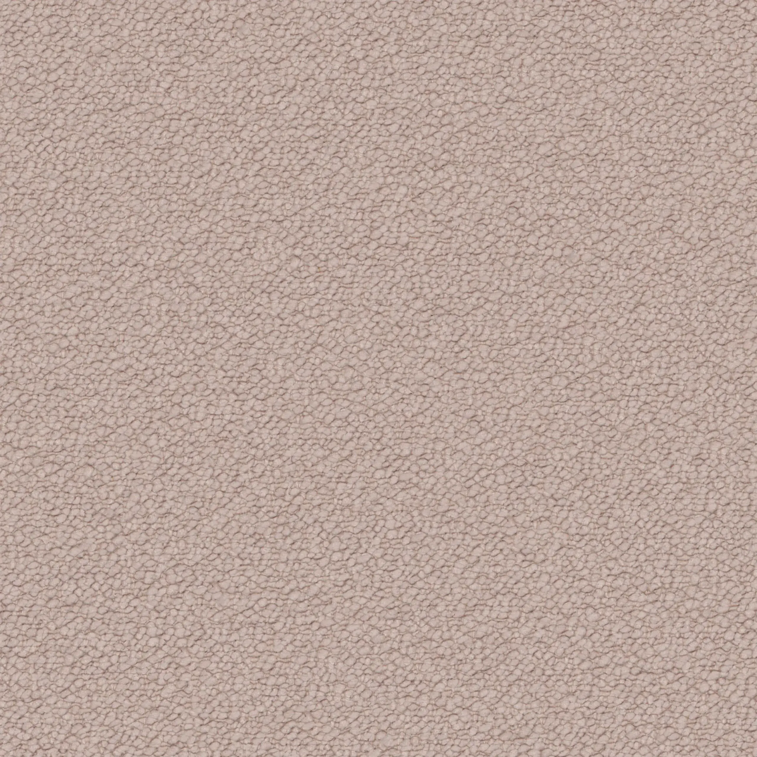 Hushed Violet 25 | Neve