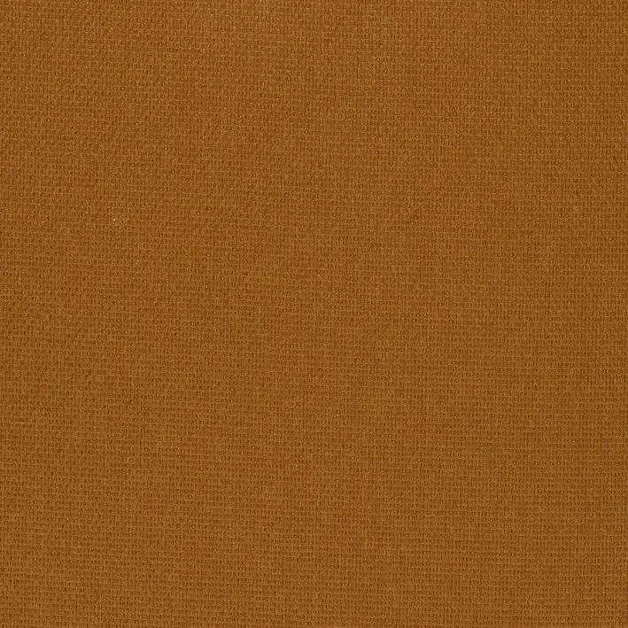 Amber 33 | Roger