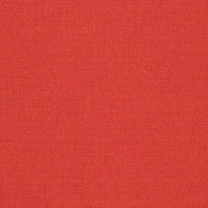 Tomato 20 | Mineral