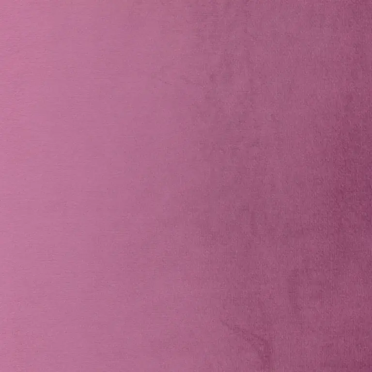 Dahlia 38