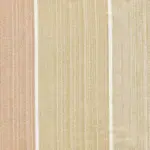 Biscuit | Ono