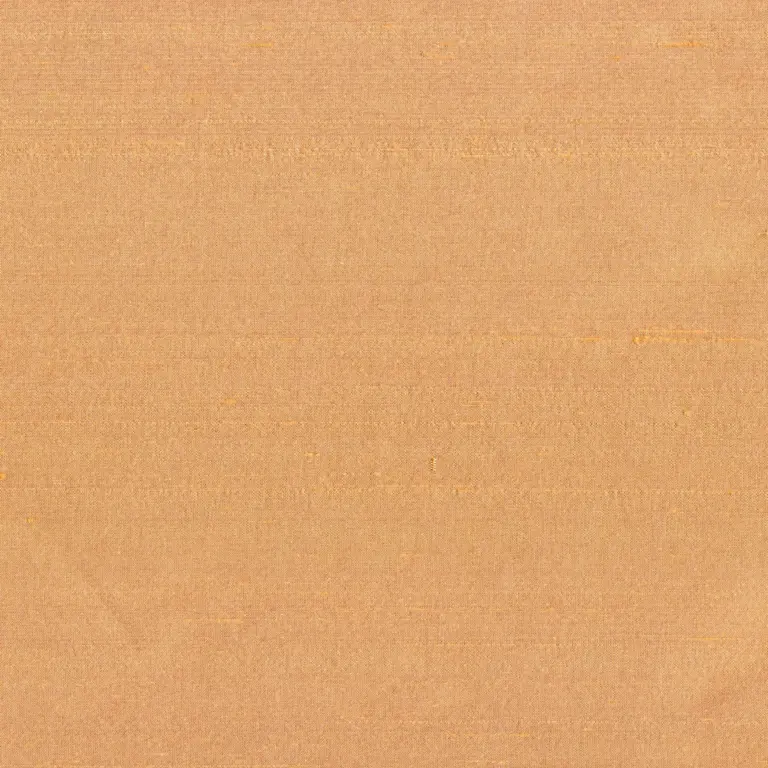 Apricot 1529