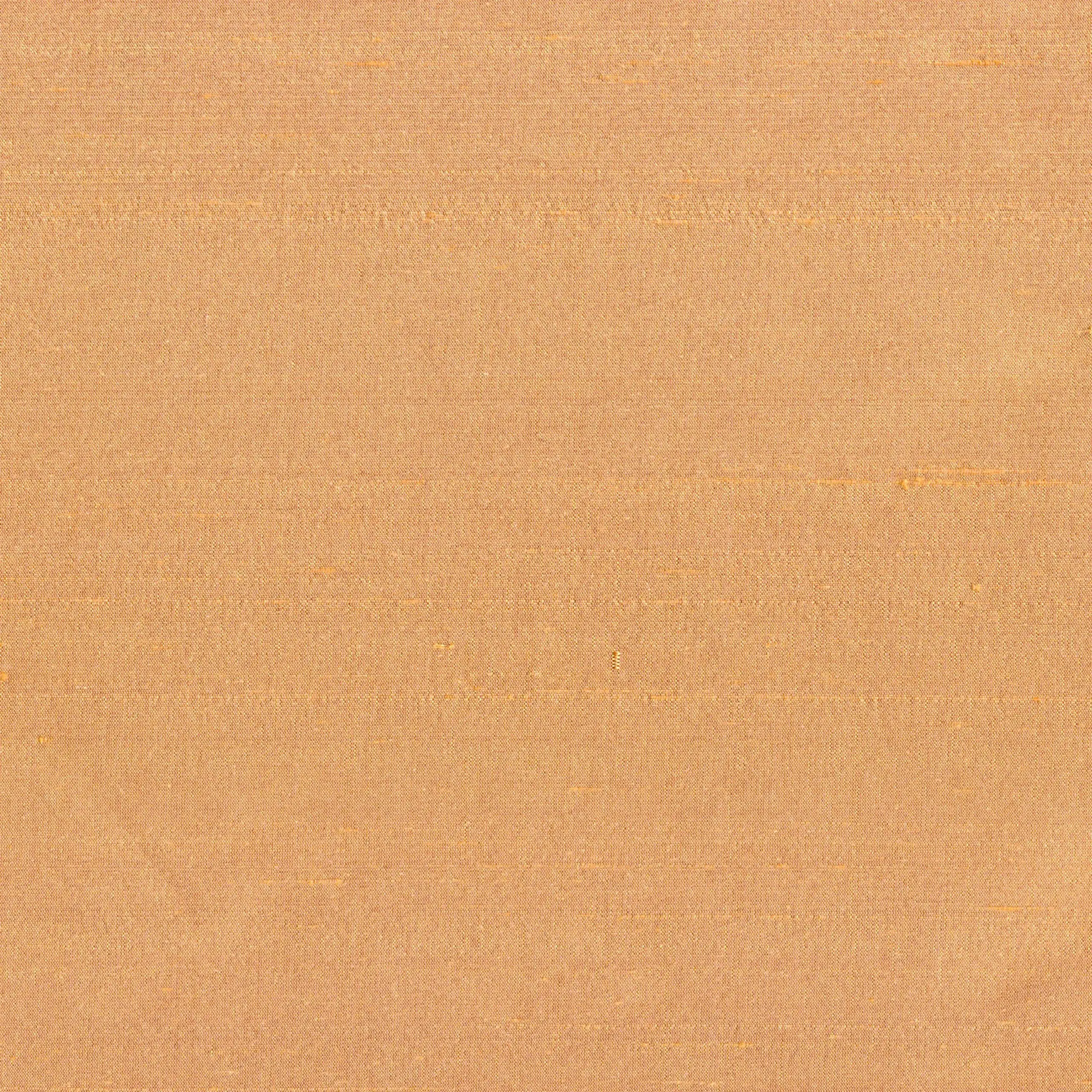 Apricot 1529 | Yamir