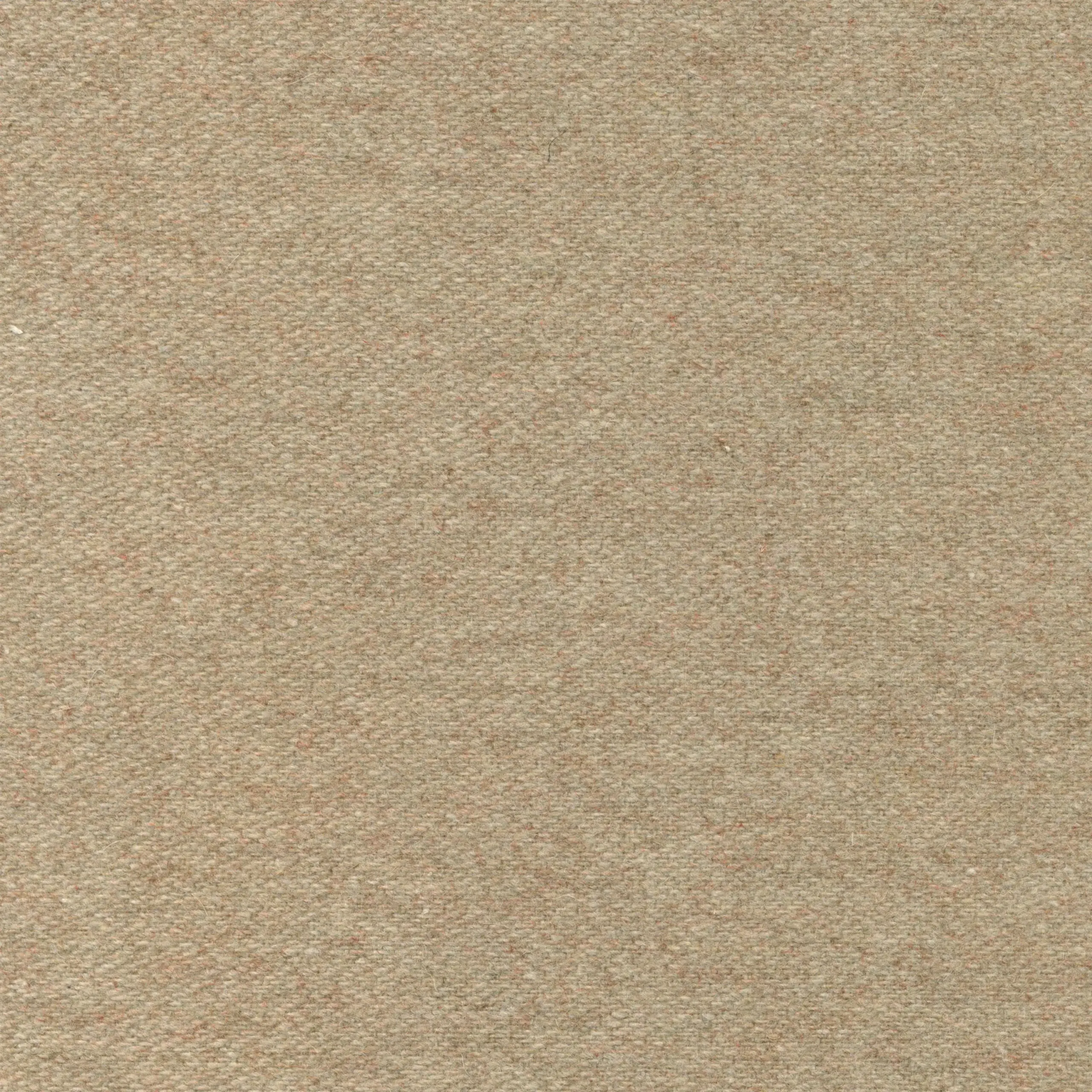 Cameo 21 | Wool