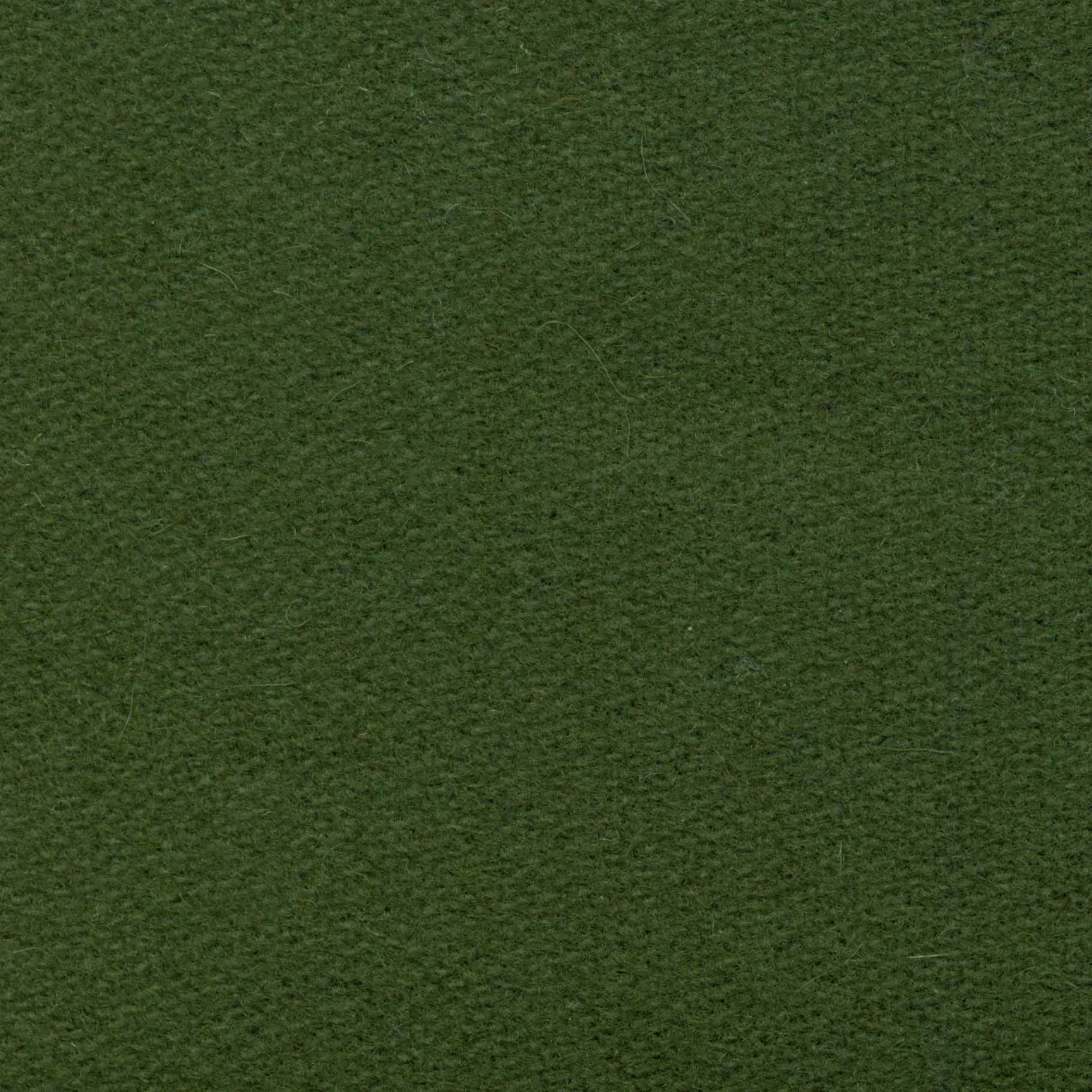 Spruce H742 | Savoy FR