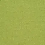 Kiwi 25 | Mineral