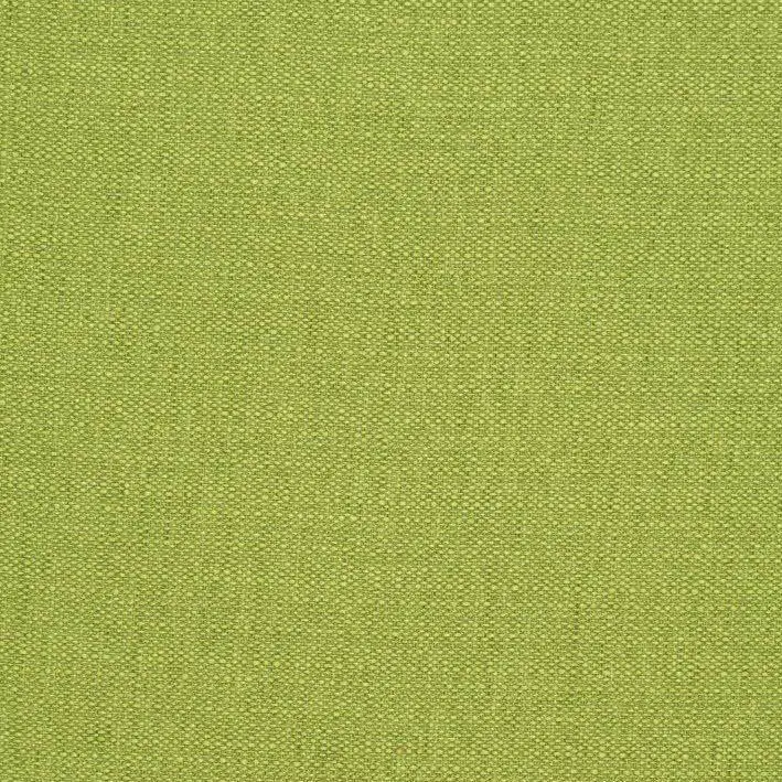 Kiwi 25 | Mineral