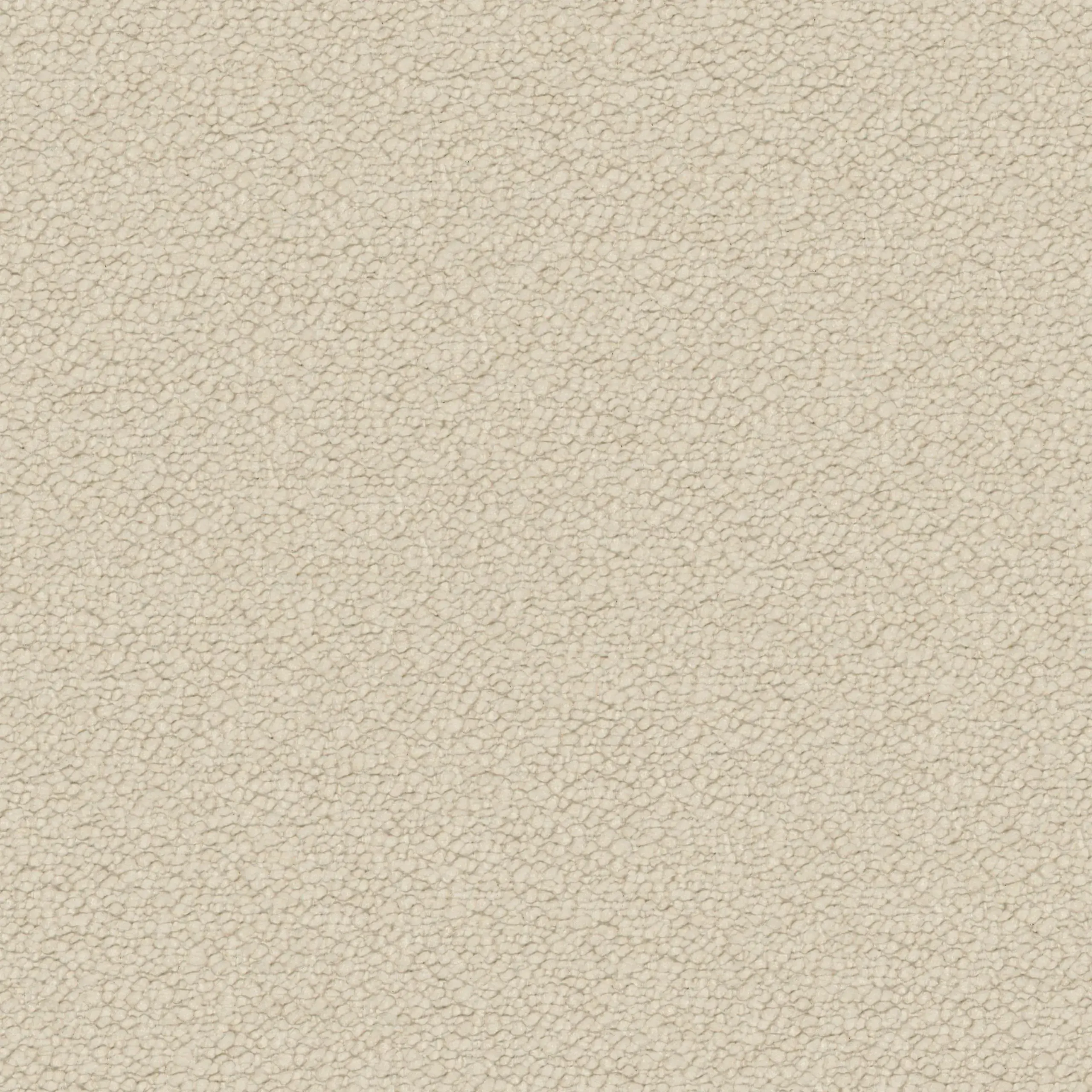 Birch 23 | Neve
