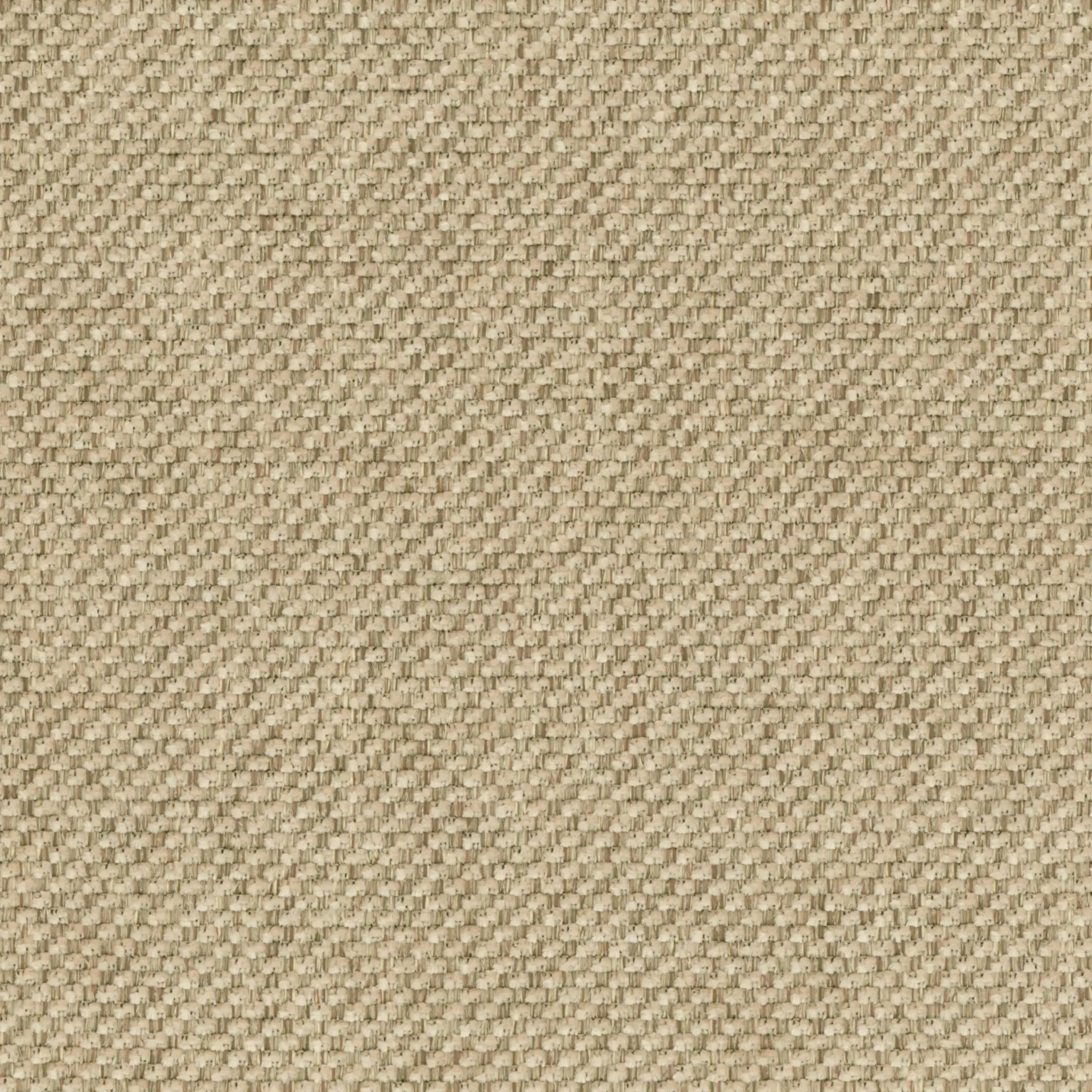 Grain Beige 15 | Marmellata