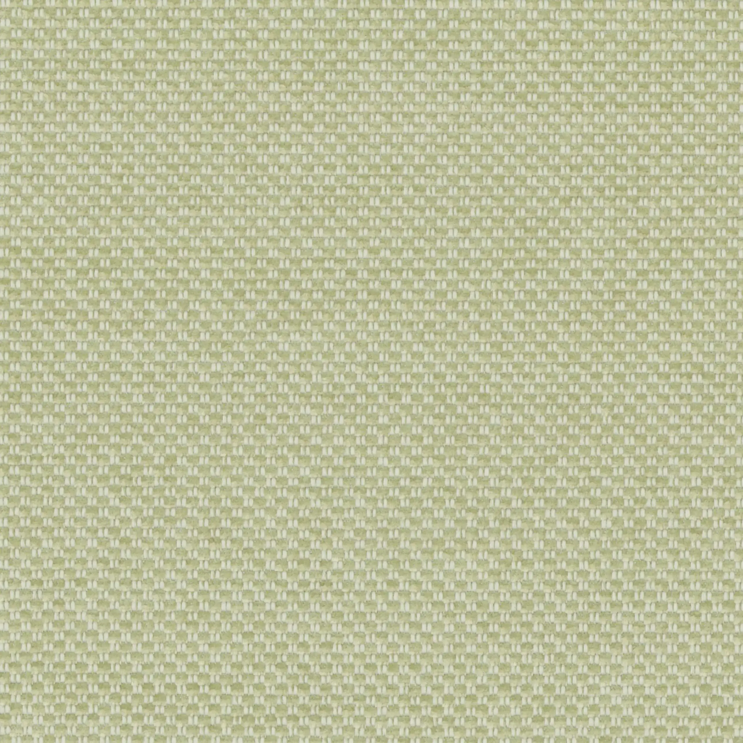 Ivory Sage 13 | Marmellata