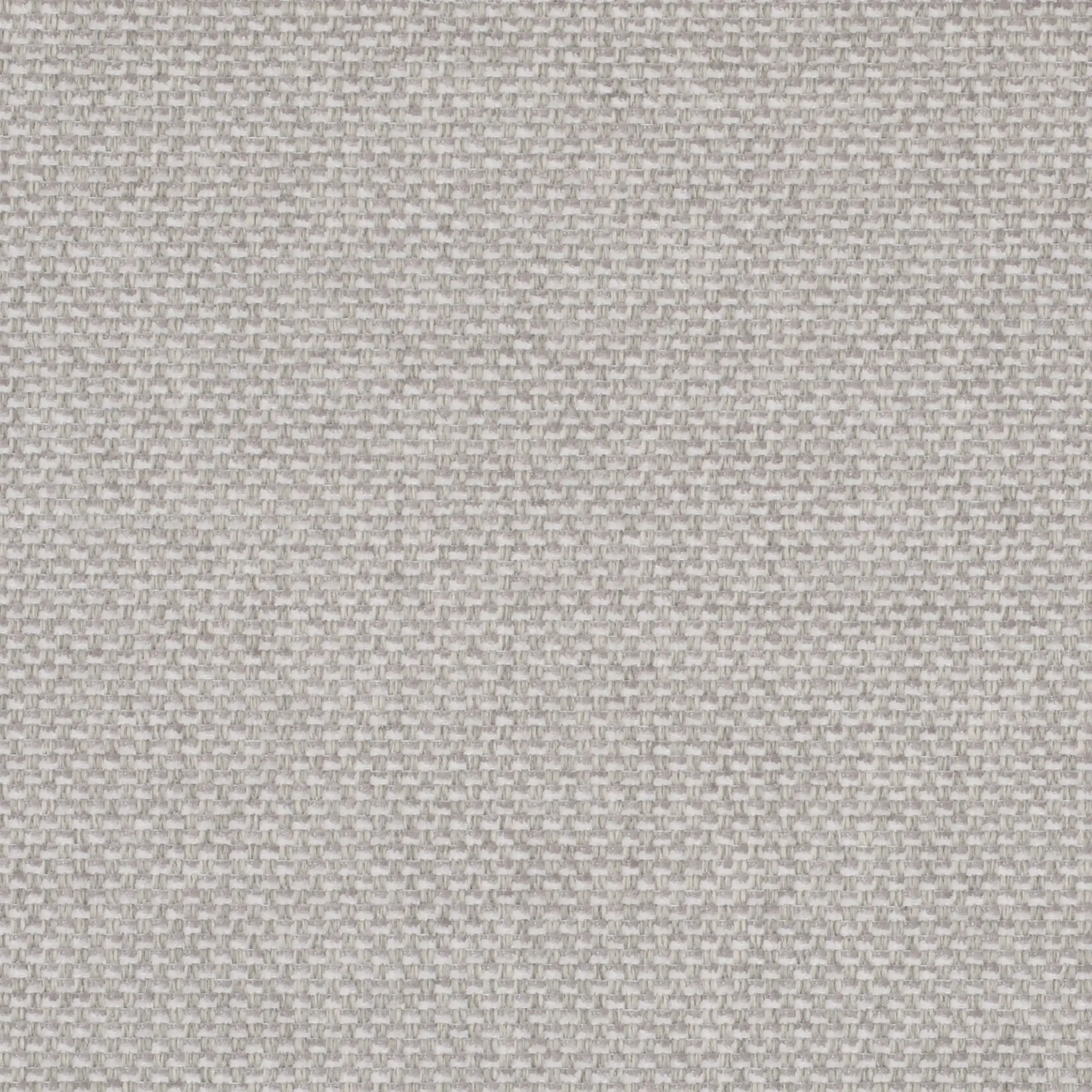 Mist White 08 | Marmellata