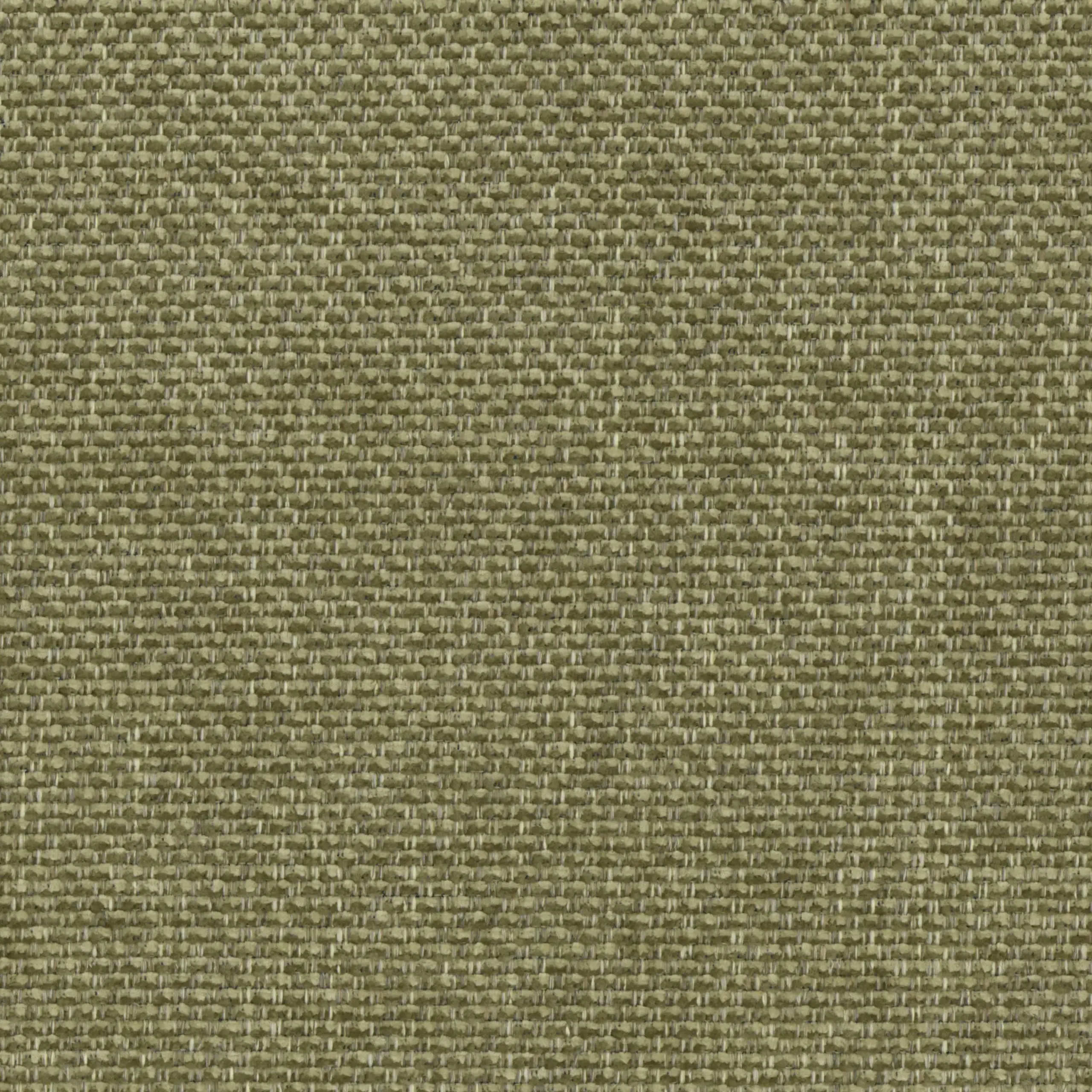 Moss Blend 26 | Marmellata