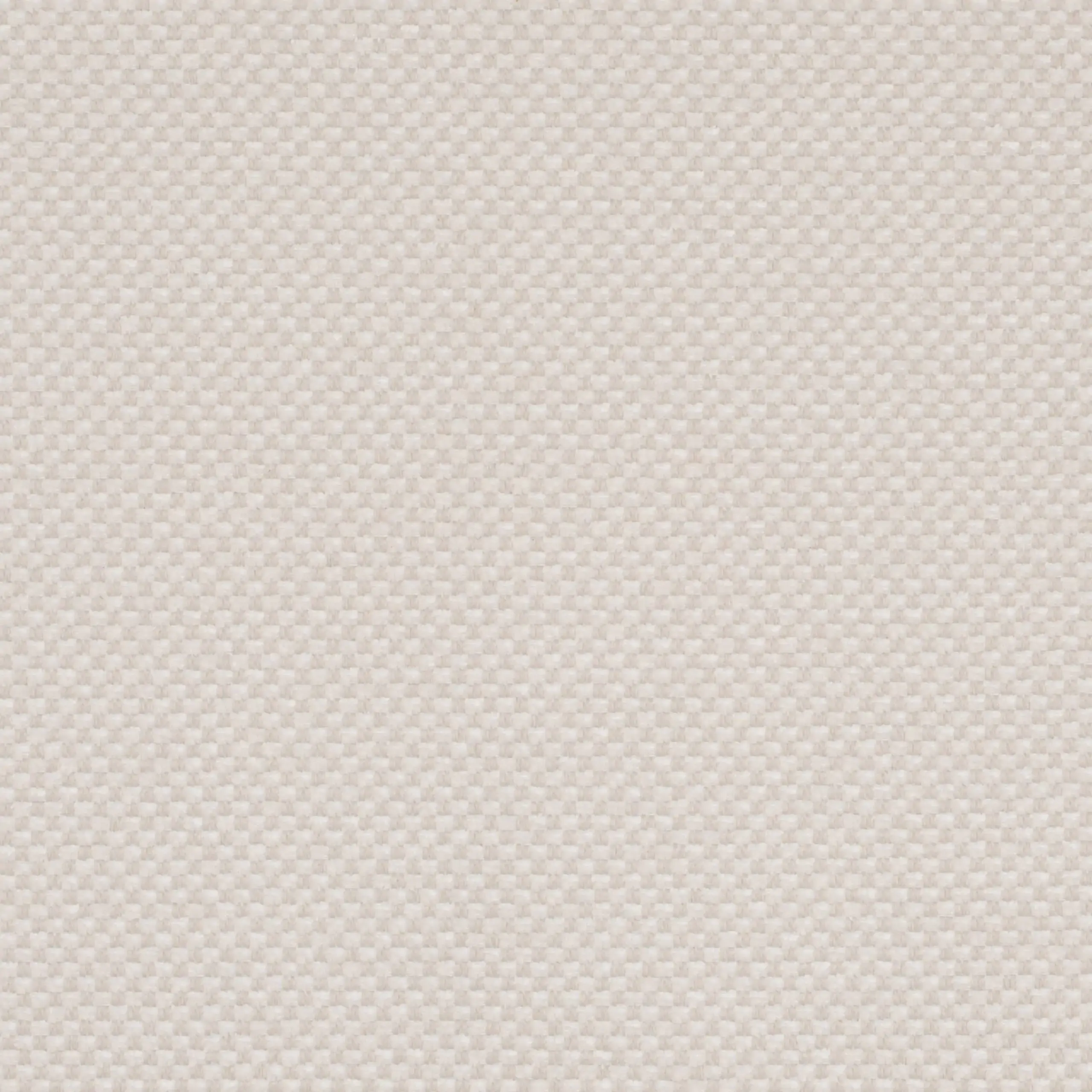 Pastel Parchment 10 | Marmellata