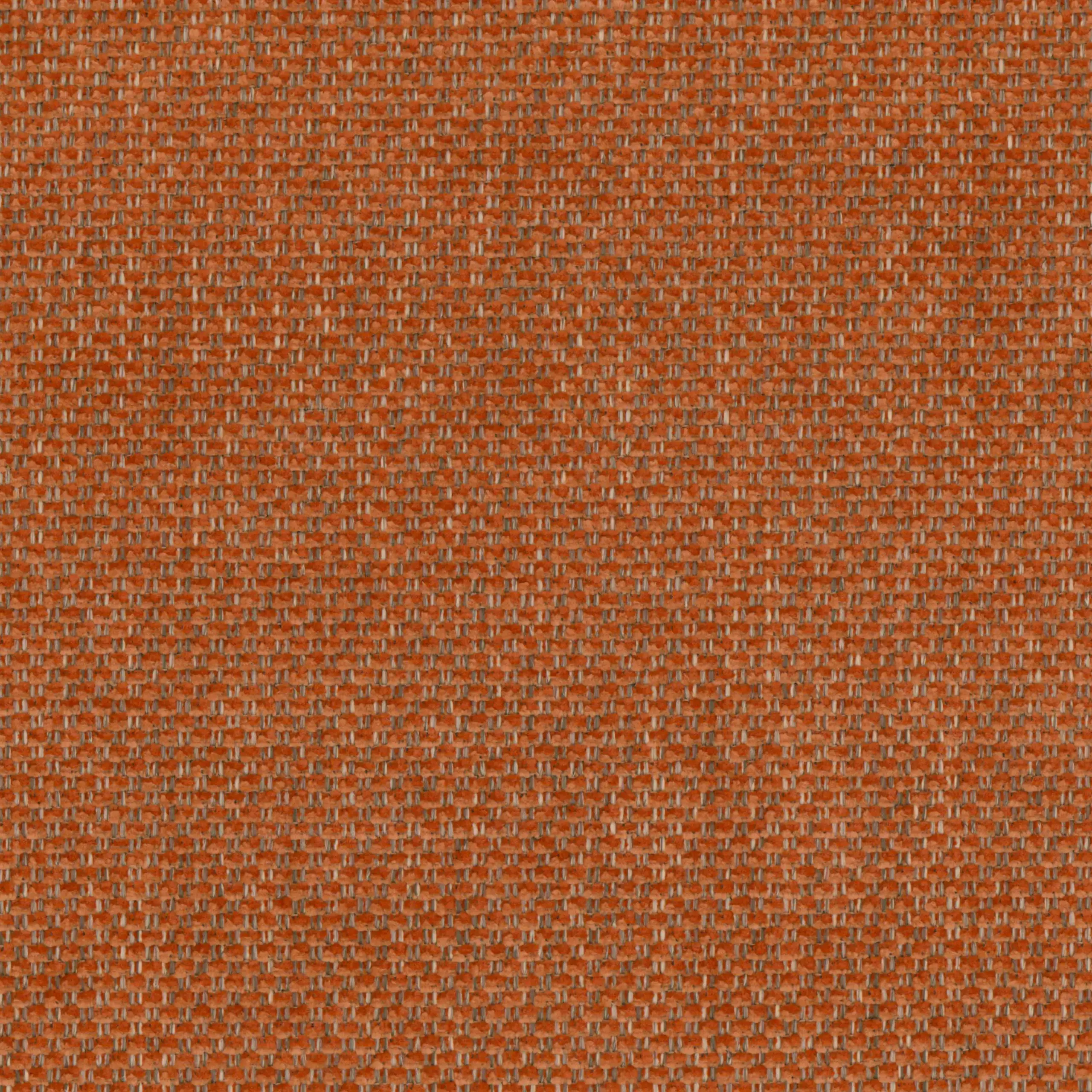 Rust 20 | Marmellata
