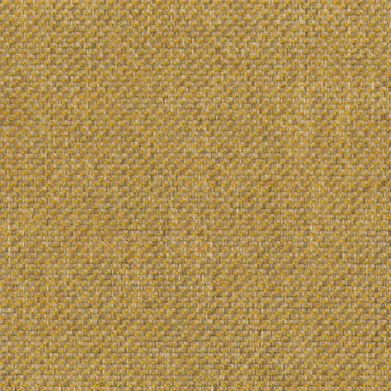 Spicy Mustard 24
